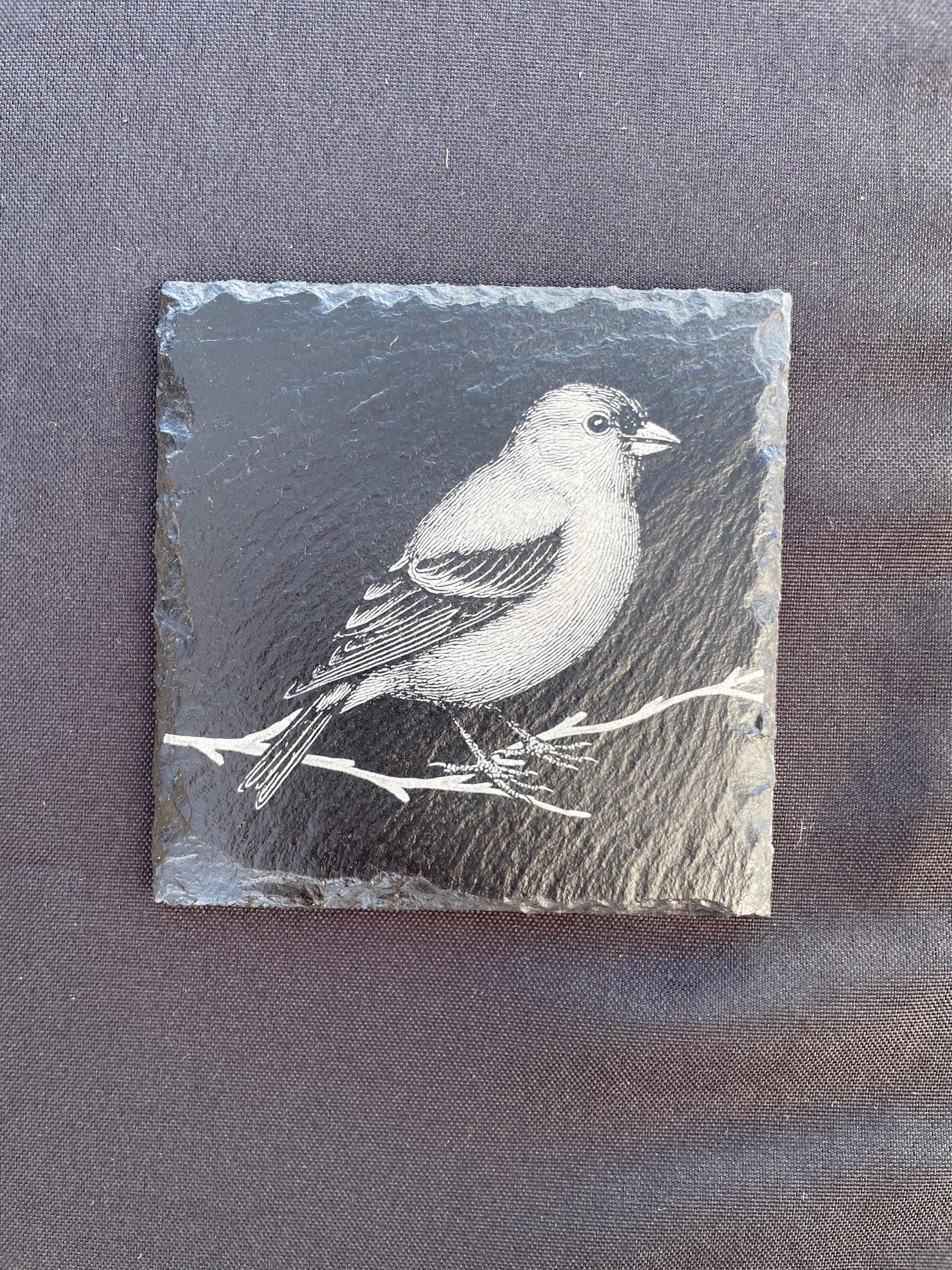 PREORDER Birch Bird Feeder and Coaster Holiday Gift Box