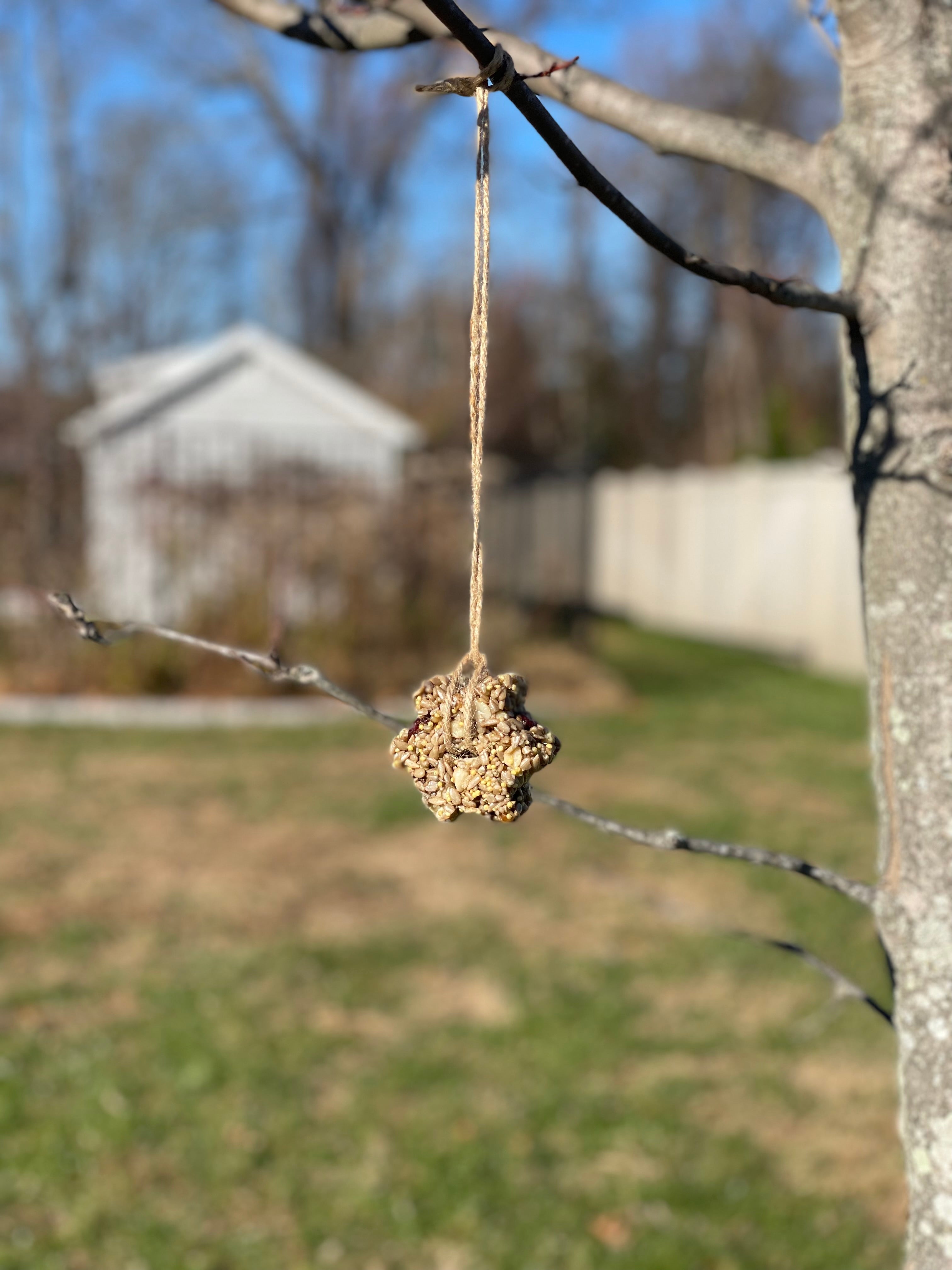 Snowflake Seed Cake Ornaments