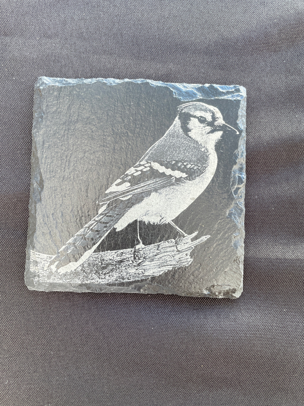 PREORDER Birch Bird Feeder and Coaster Holiday Gift Box