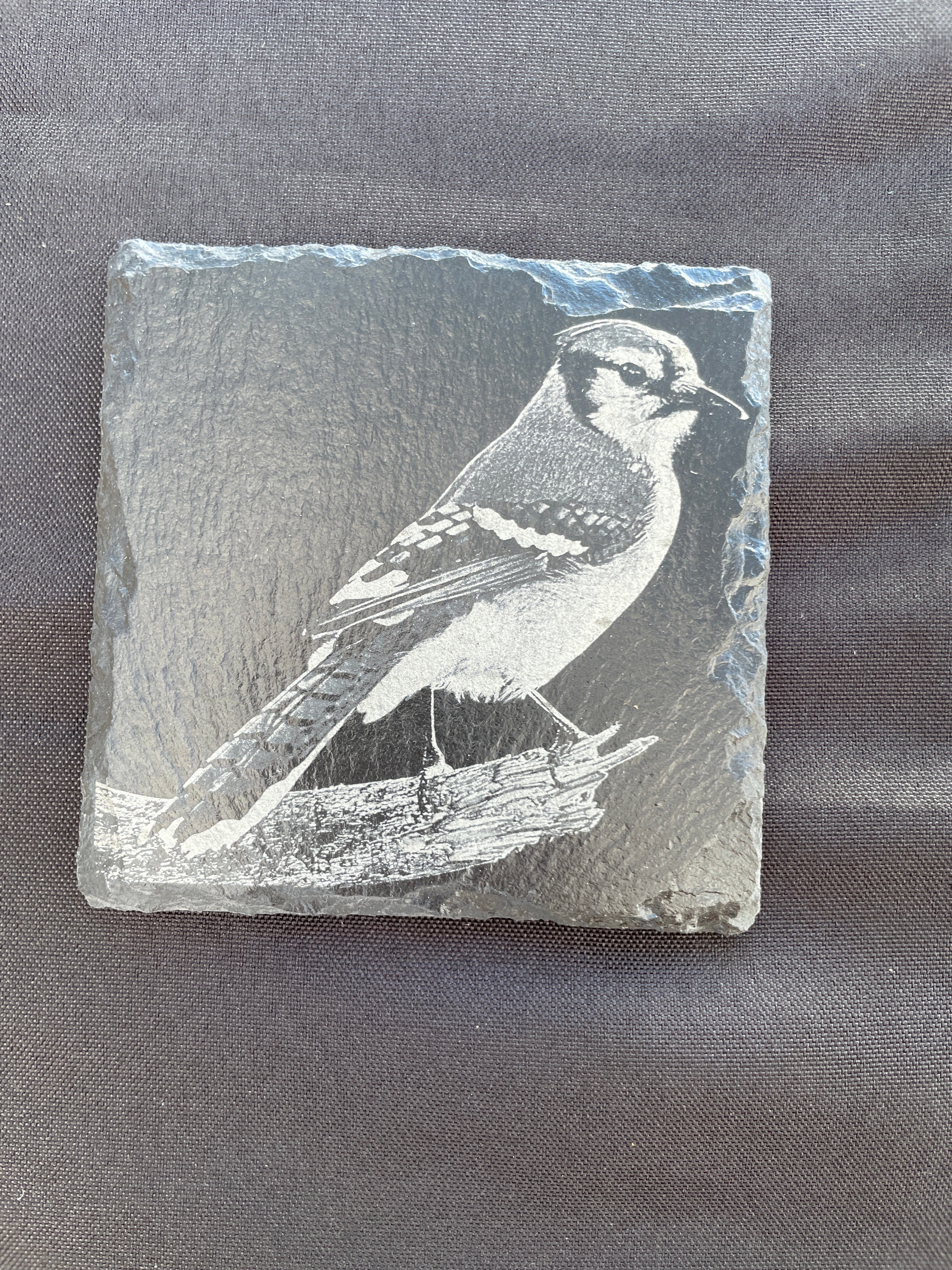 PREORDER Birch Bird Feeder and Coaster Holiday Gift Box