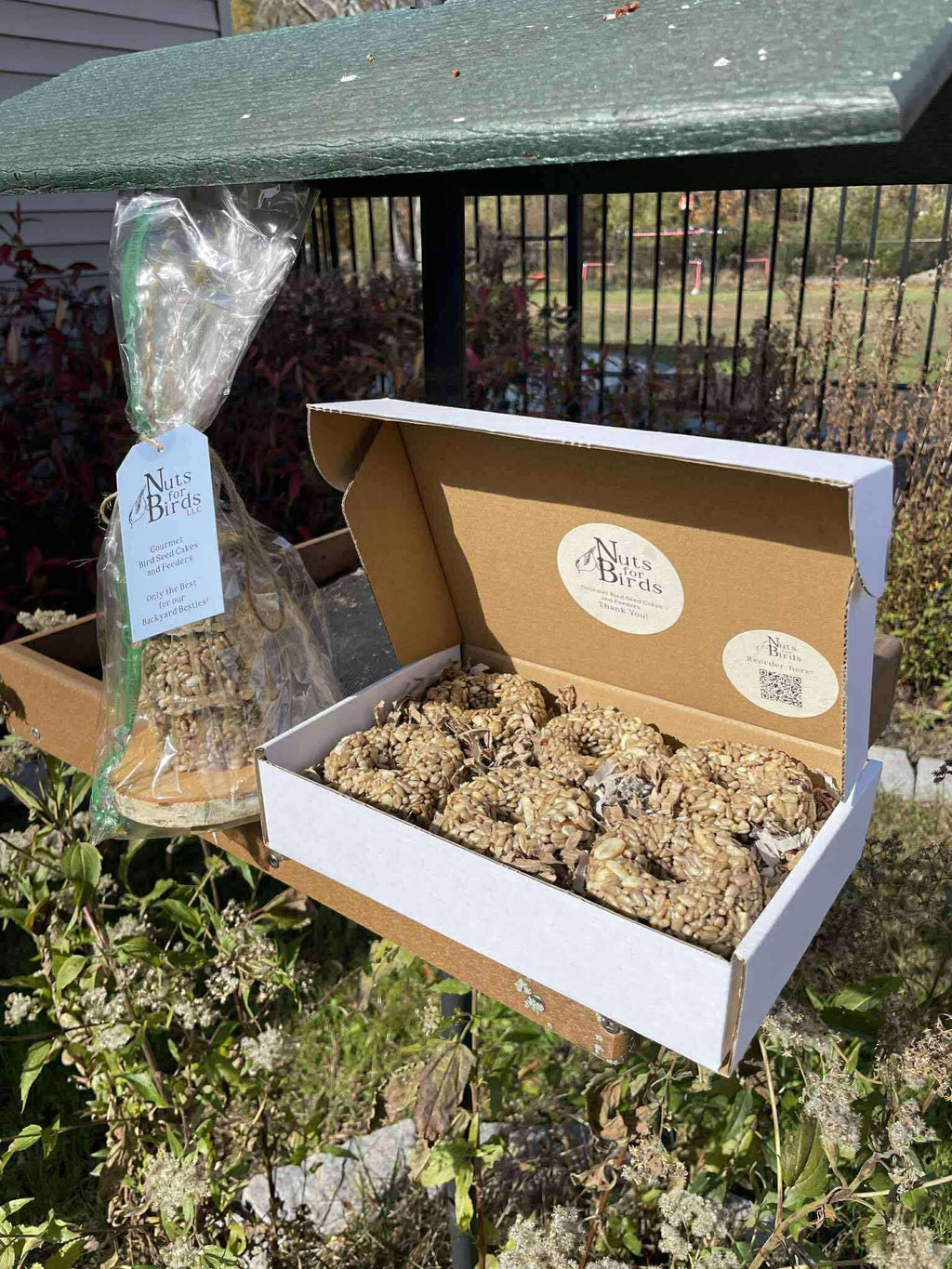 Bird Feeder Starter Bundle