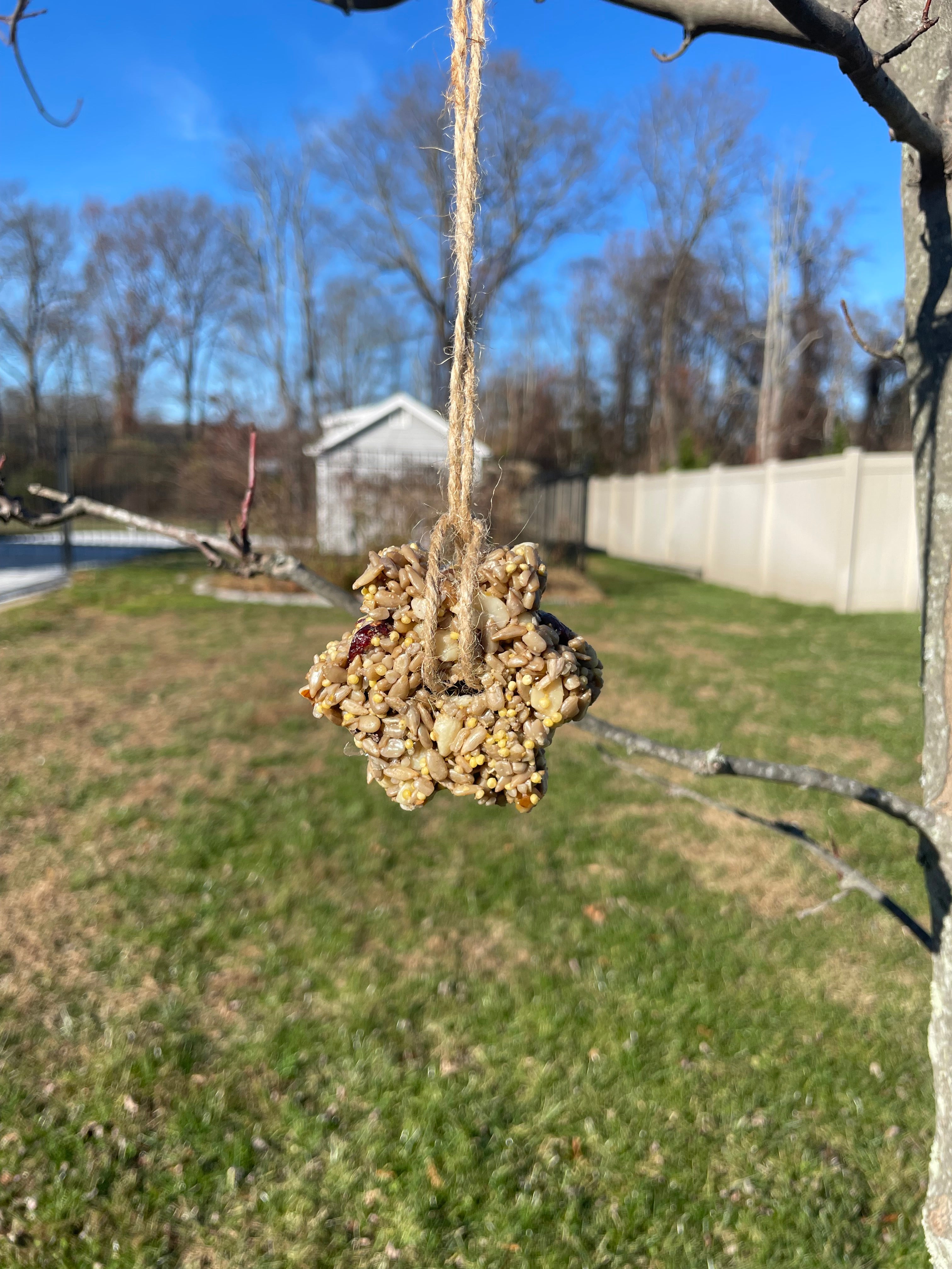 Snowflake Seed Cake Ornaments