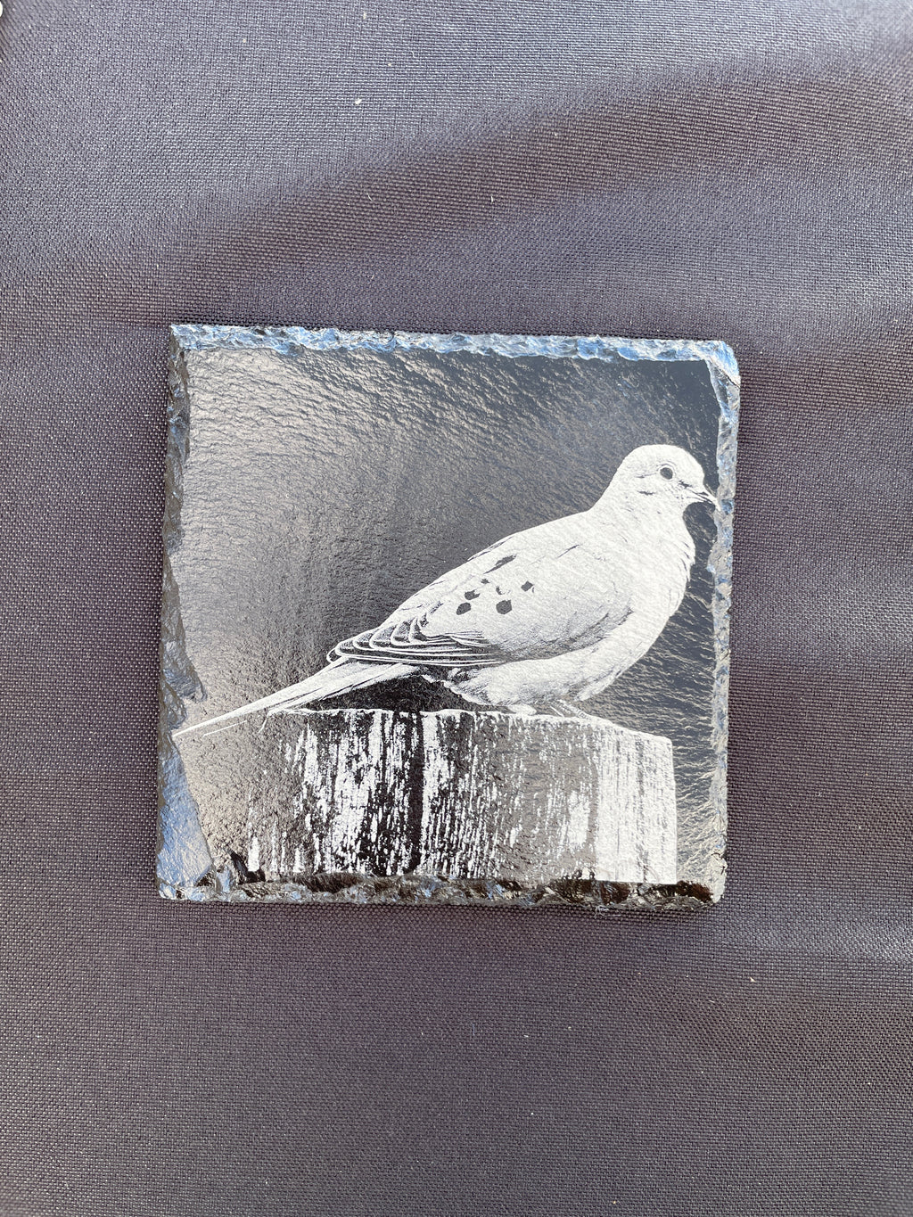 PREORDER Birch Bird Feeder and Coaster Holiday Gift Box