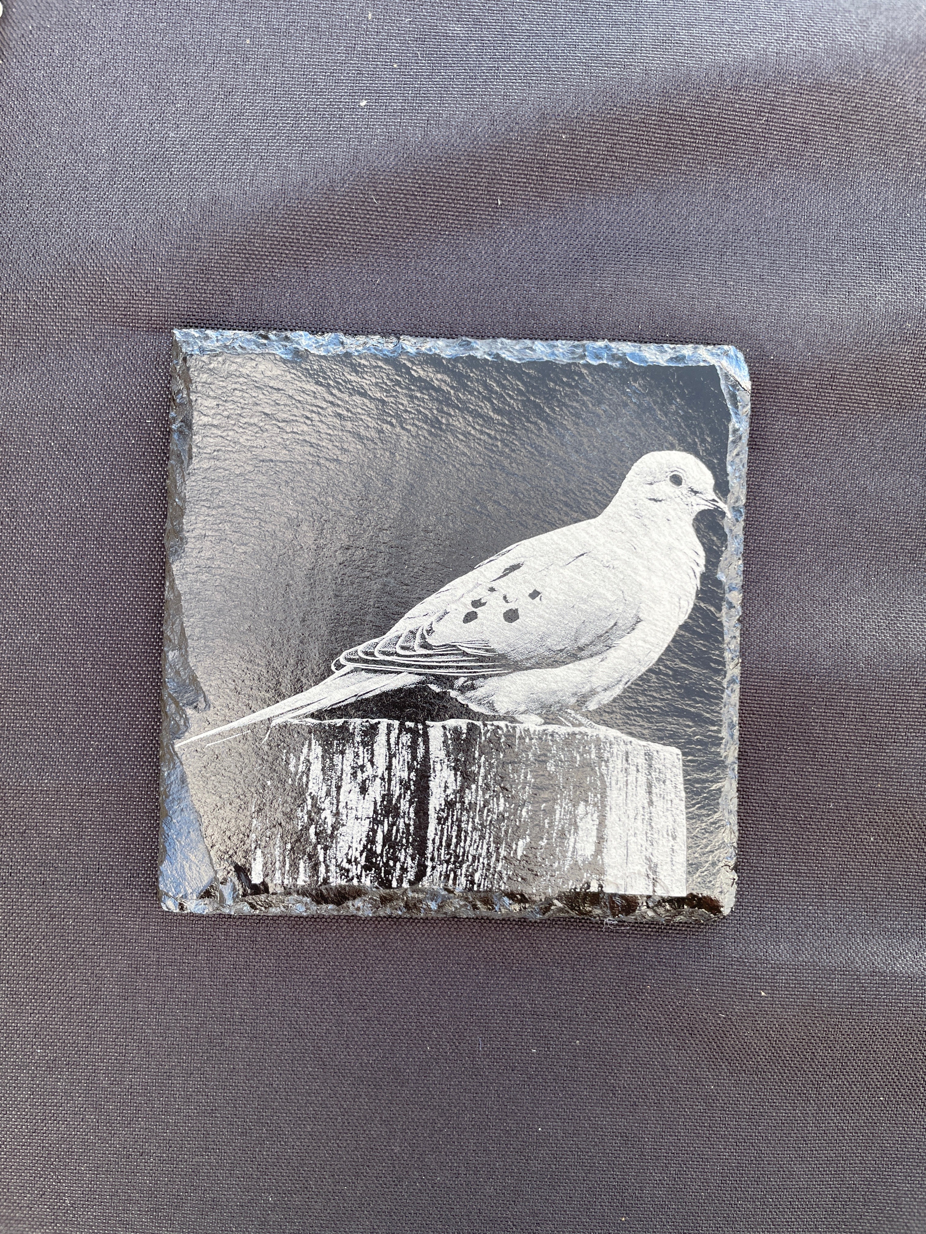 PREORDER Birch Bird Feeder and Coaster Holiday Gift Box