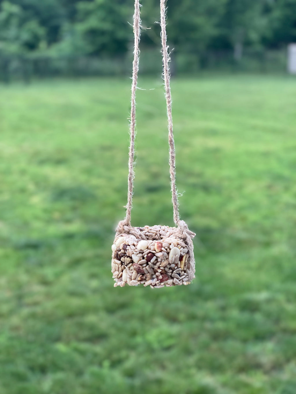Seed Cake Ornaments