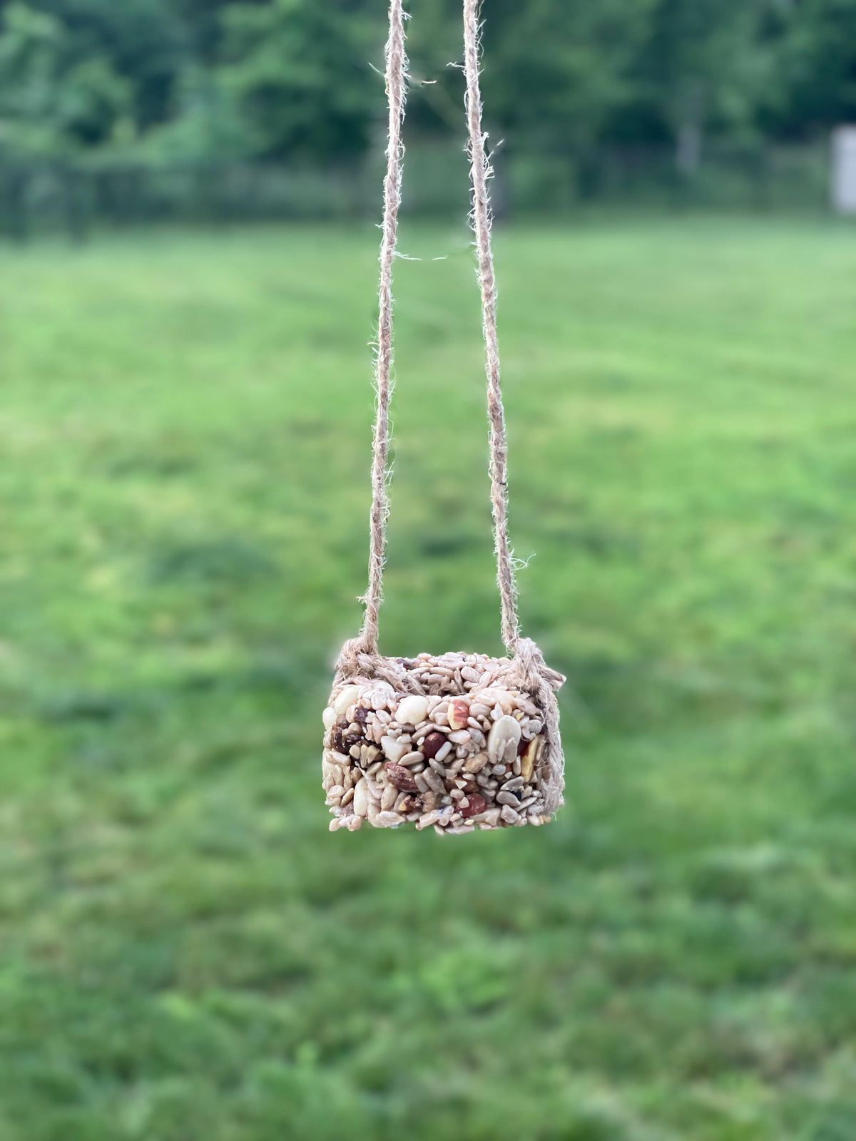 Seed Cake Ornaments
