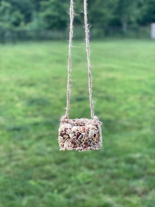 Seed Cake Ornaments