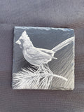 Birch Bird Feeder and Coaster Gift Box