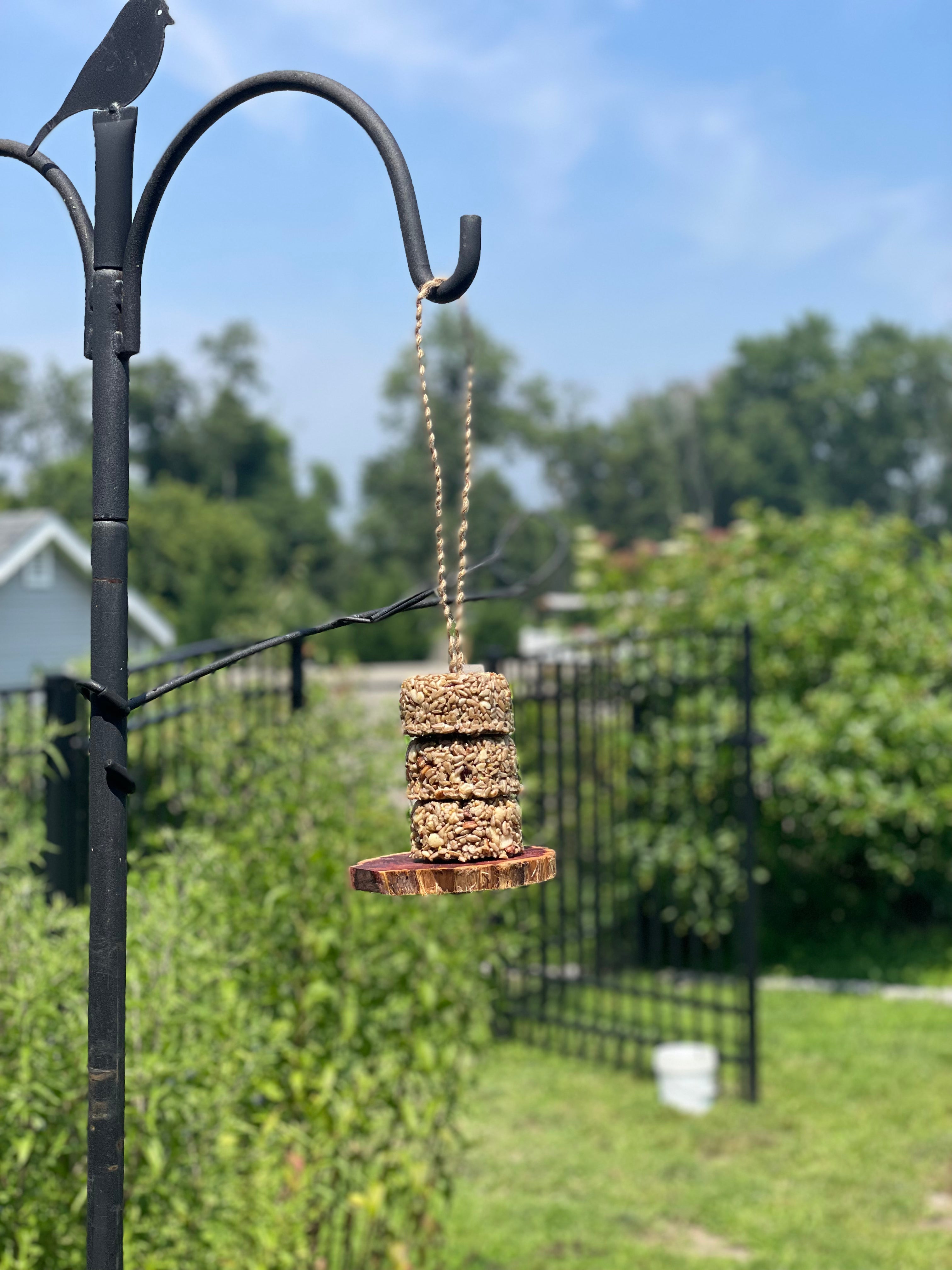 Cedar Bird Feeder